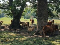 [Group 3]-20180818 151112 20180818 151115-2 images